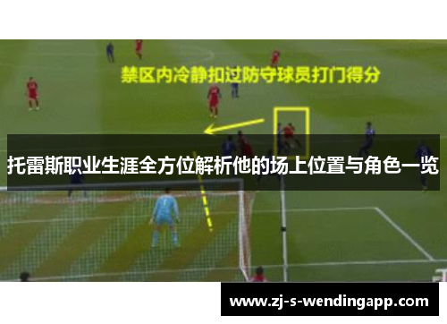 托雷斯职业生涯全方位解析他的场上位置与角色一览