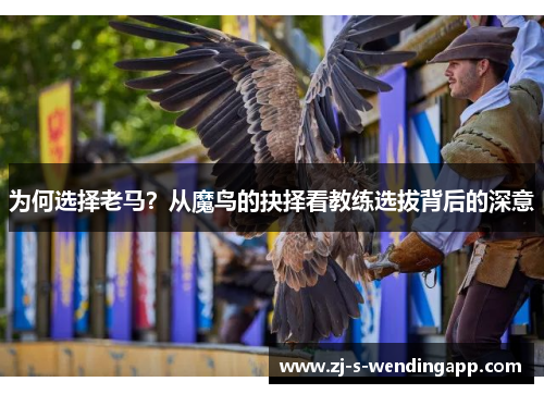 为何选择老马？从魔鸟的抉择看教练选拔背后的深意