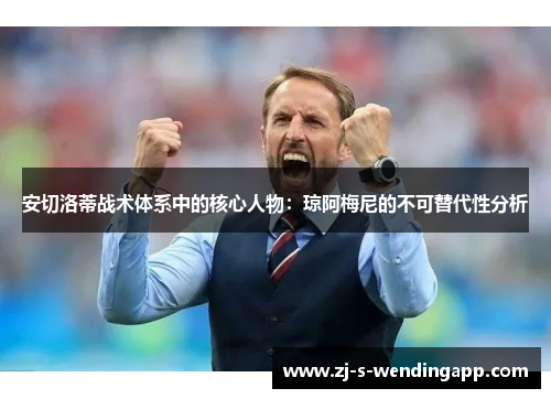 安切洛蒂战术体系中的核心人物：琼阿梅尼的不可替代性分析