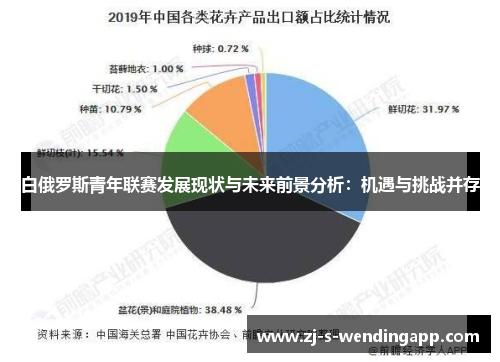 白俄罗斯青年联赛发展现状与未来前景分析:机遇与挑战并存 白俄罗斯青年联赛发展现状与未来前景分析:机遇与挑战并存