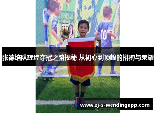 张德培队辉煌夺冠之路揭秘 从初心到顶峰的拼搏与荣耀